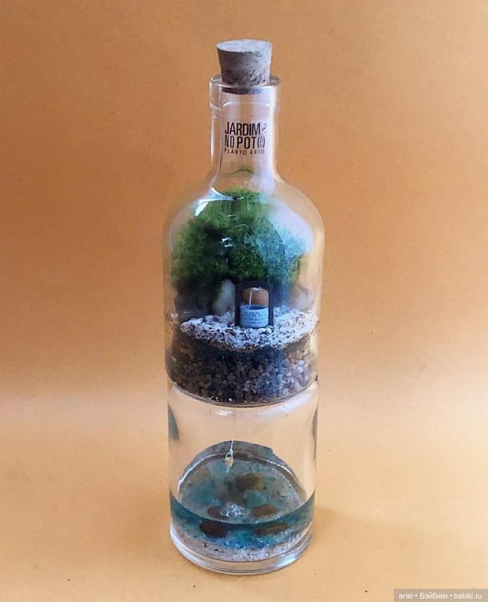 Необычные экосистемы в банках Лина Сирило (Lina Cirilo) и Лаура Гонсалес (Laura Goncales)