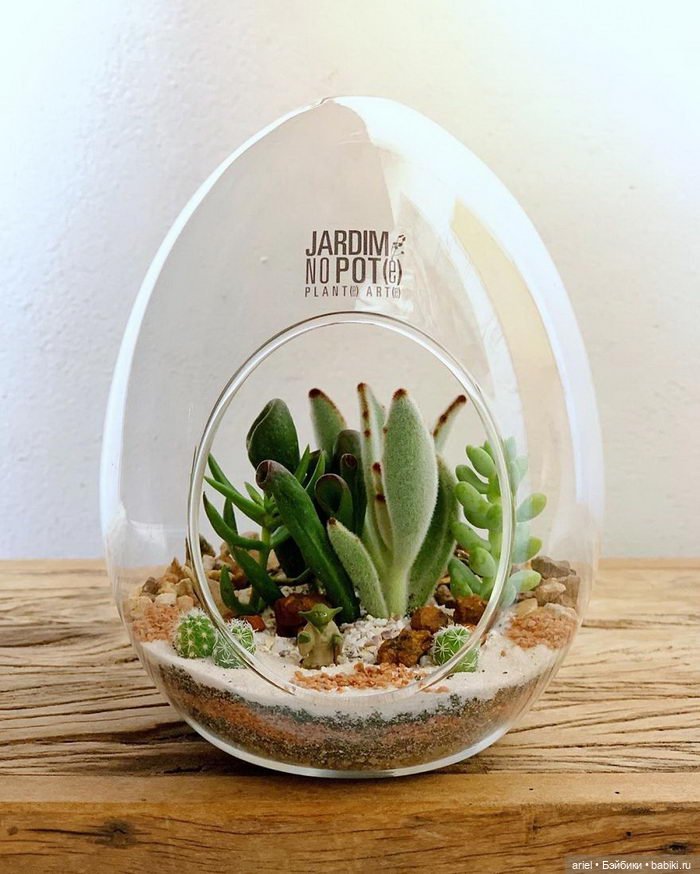 Необычные экосистемы в банках Лина Сирило (Lina Cirilo) и Лаура Гонсалес (Laura Goncales) (фото 6)