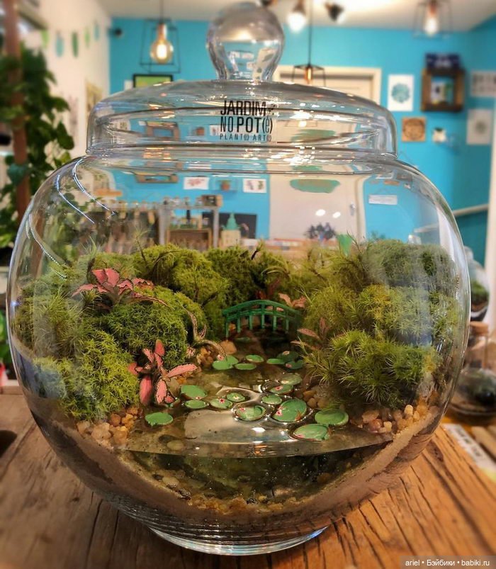 Необычные экосистемы в банках Лина Сирило (Lina Cirilo) и Лаура Гонсалес (Laura Goncales)