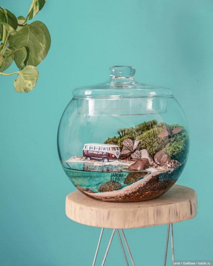 Необычные экосистемы в банках Лина Сирило (Lina Cirilo) и Лаура Гонсалес (Laura Goncales)