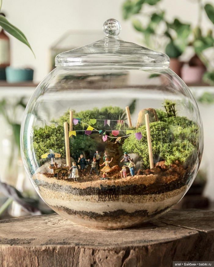 Необычные экосистемы в банках Лина Сирило (Lina Cirilo) и Лаура Гонсалес (Laura Goncales)