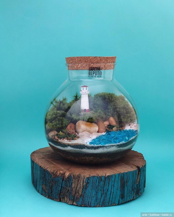 Необычные экосистемы в банках Лина Сирило (Lina Cirilo) и Лаура Гонсалес (Laura Goncales)