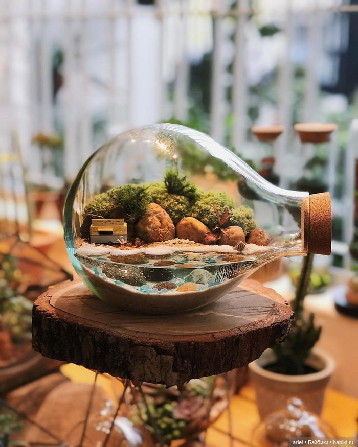 Необычные экосистемы в банках Лина Сирило (Lina Cirilo) и Лаура Гонсалес (Laura Goncales) (фото 8)