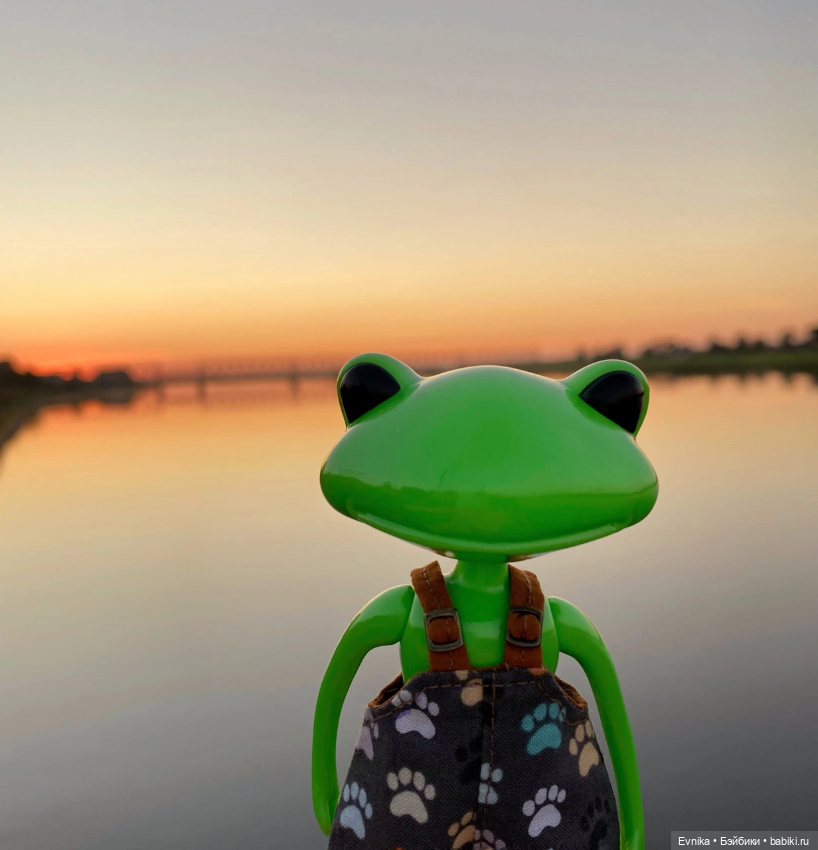 Мои любимые лягушки 🐸 🐸 — Фигурки Studio