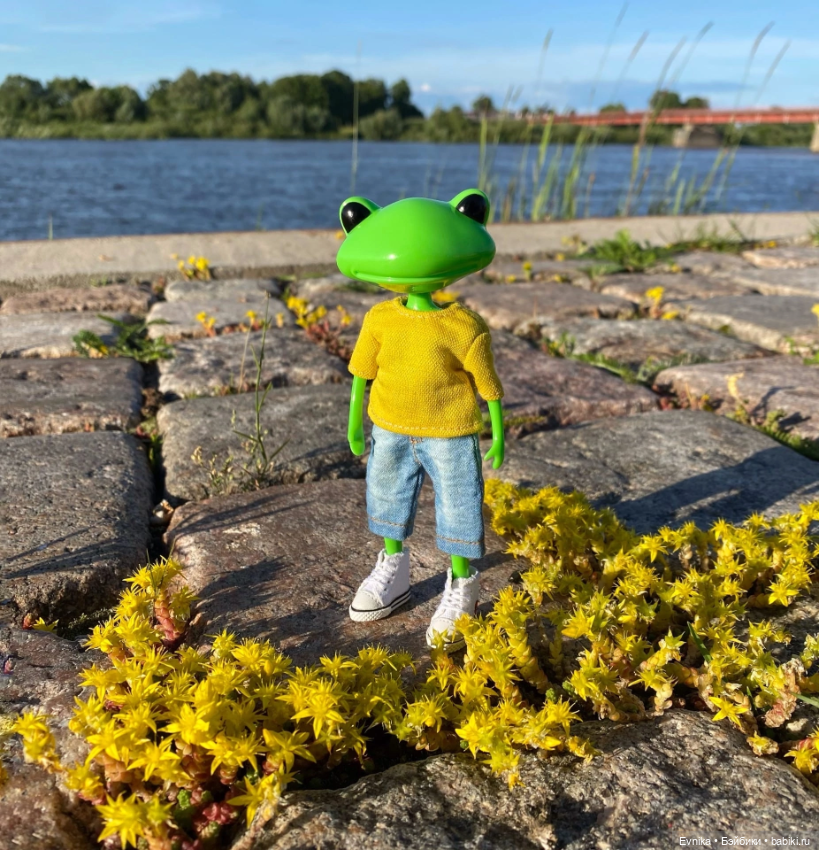 Мои любимые лягушки 🐸 🐸 — Фигурки Studio