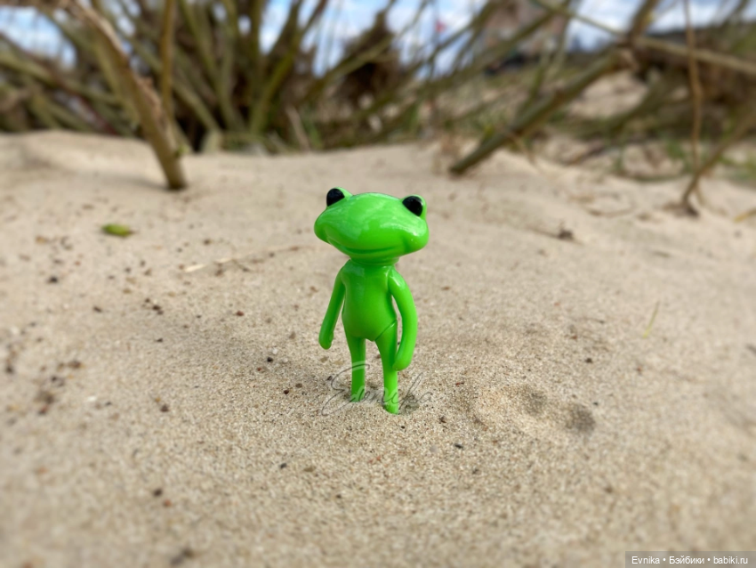 Мои любимые лягушки 🐸 🐸 — Фигурки Studio