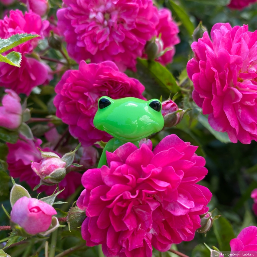 Мои любимые лягушки 🐸 🐸 — Фигурки Studio