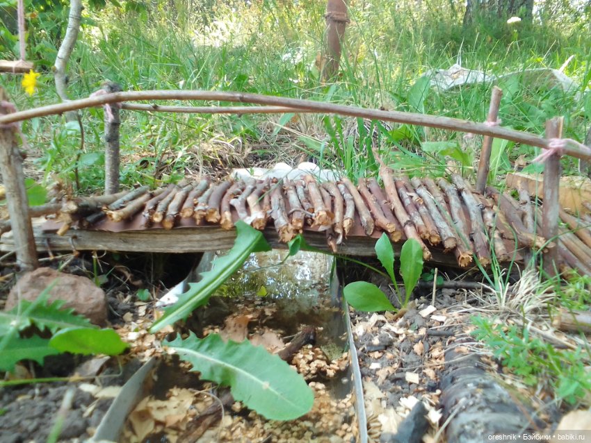 Мост – место спокойствия и умиротворения (фото 10)