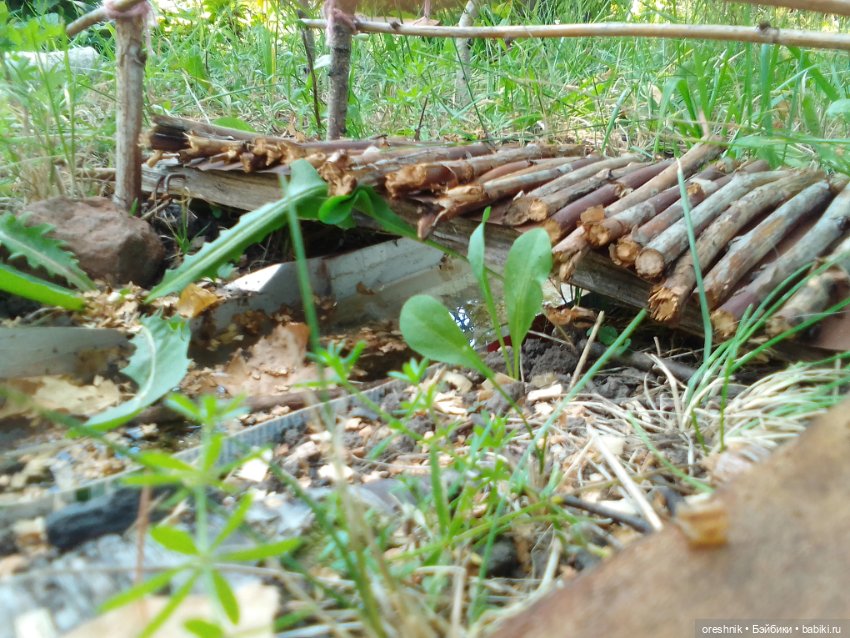 Мост – место спокойствия и умиротворения