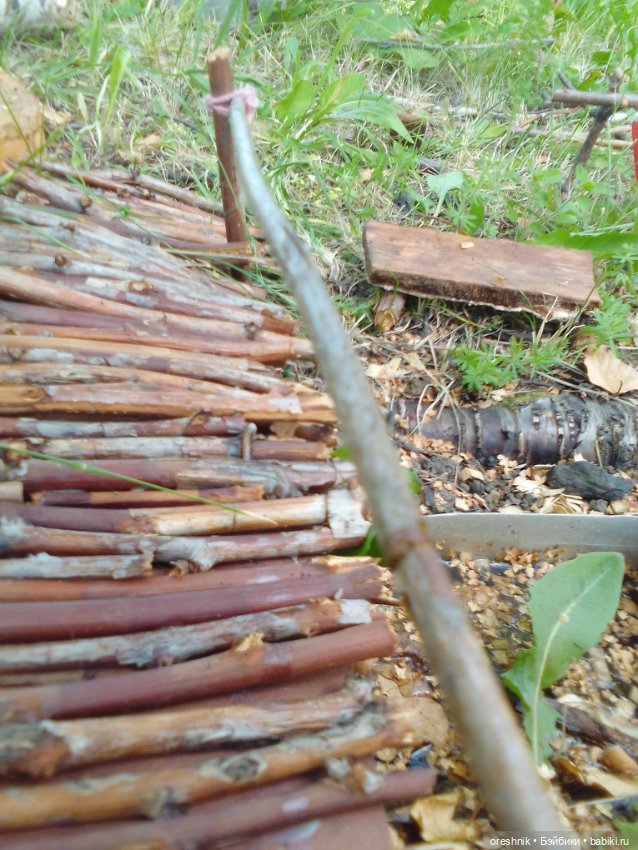 Мост – место спокойствия и умиротворения (фото 6)