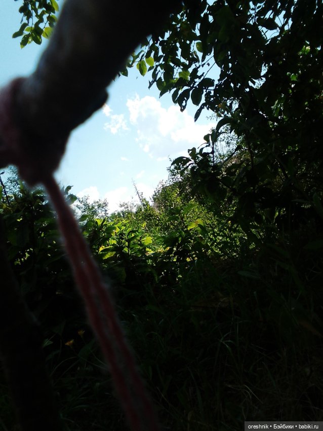 Мост – место спокойствия и умиротворения (фото 3)