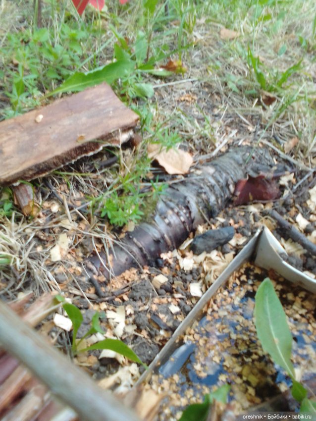 Мост – место спокойствия и умиротворения (фото 7)