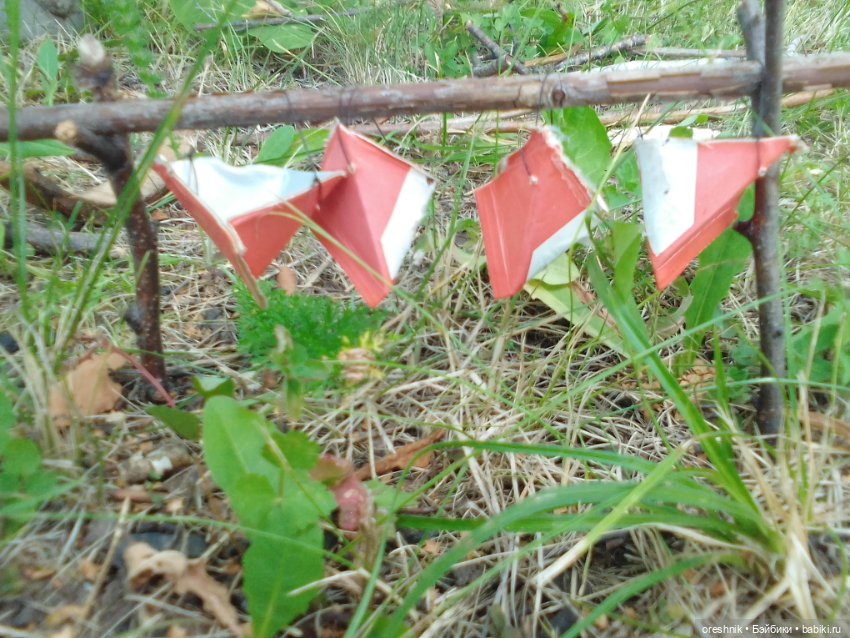 Мост – место спокойствия и умиротворения (фото 5)