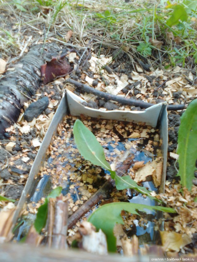 Мост – место спокойствия и умиротворения (фото 8)