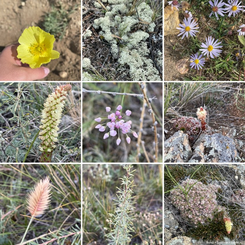 Байкал. Ольхон. Тигруля — Игровые куклы разных производителей (Разное): редкие бренды