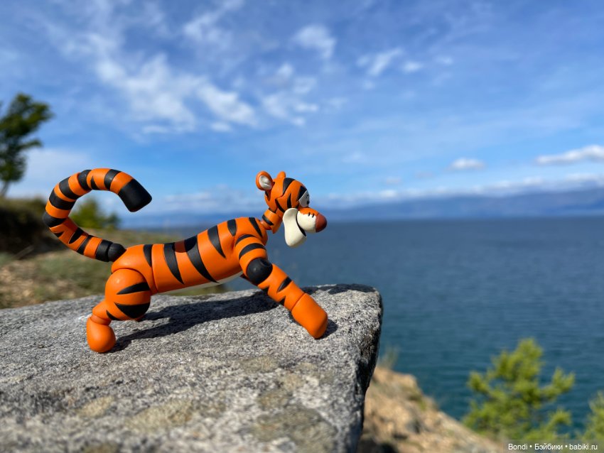 Байкал. Ольхон. Тигруля — Игровые куклы разных производителей (Разное): редкие бренды (фото 4)