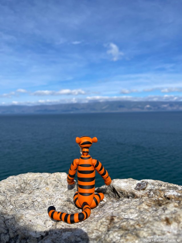 Байкал. Ольхон. Тигруля — Игровые куклы разных производителей (Разное): редкие бренды (фото 9)