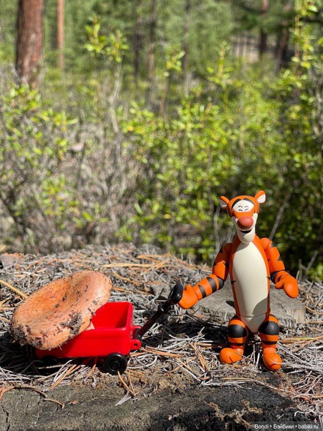 Байкал. Ольхон. Тигруля — Игровые куклы разных производителей (Разное): редкие бренды