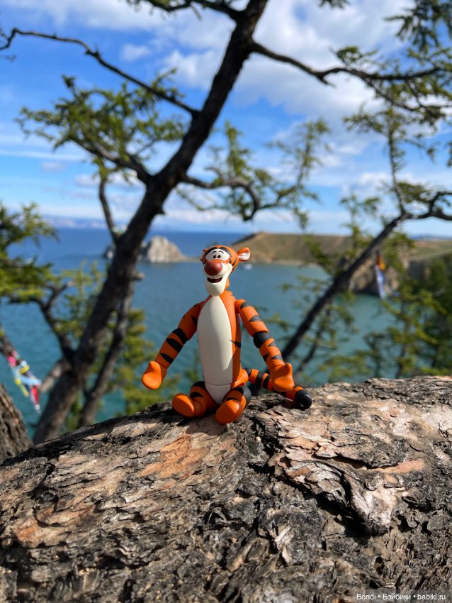 Байкал. Ольхон. Тигруля — Игровые куклы разных производителей (Разное): редкие бренды (фото 10)