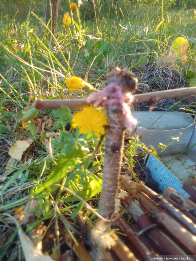 Прогулка по мостику — Куклы Baboliy (Баболи