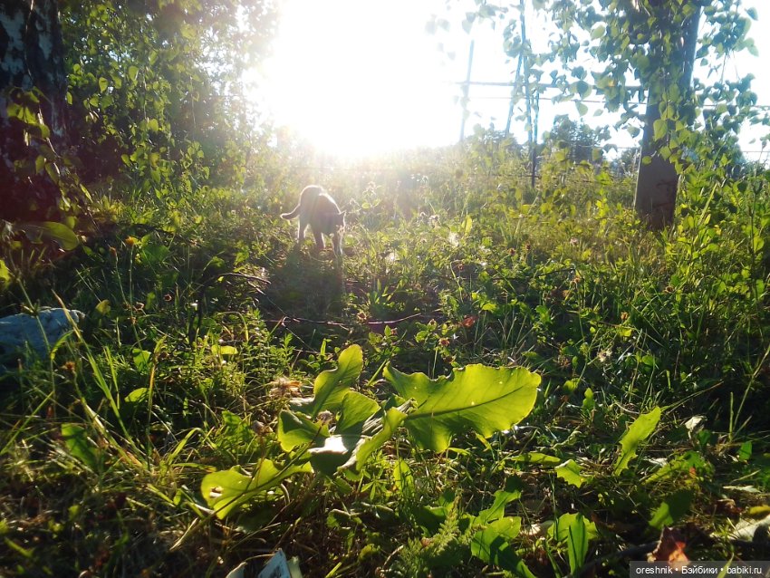 Прогулка по мостику — Куклы Baboliy (Баболи