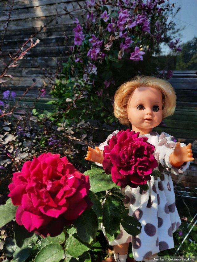 Моя зубастенькая немочка — Винтажные куклы ГДР (Немки): Бигги (фото 5)