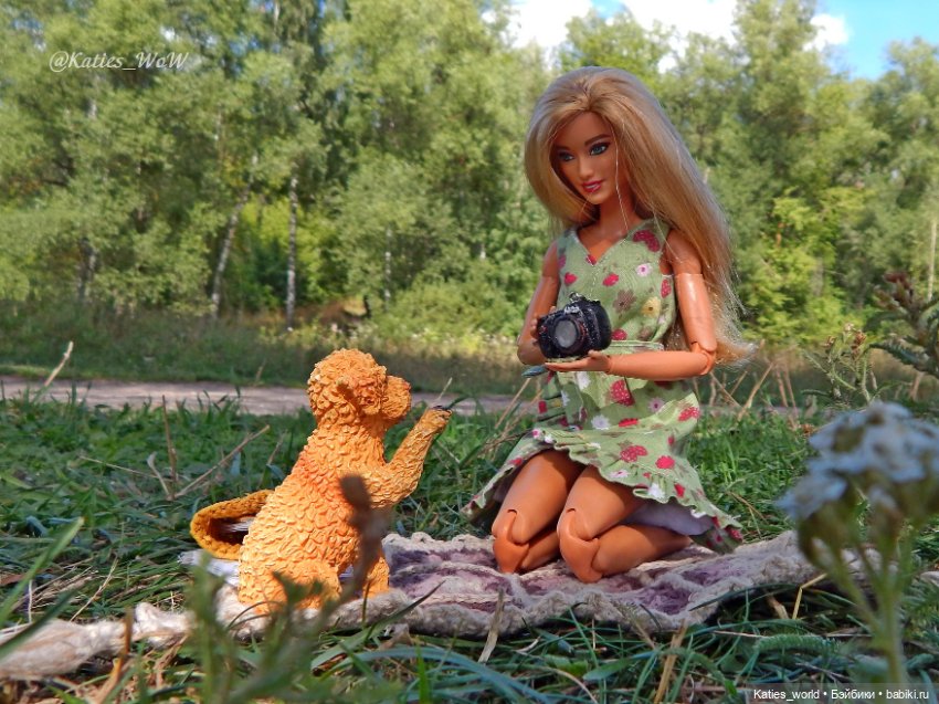 День благодарности собакам (фото 2)