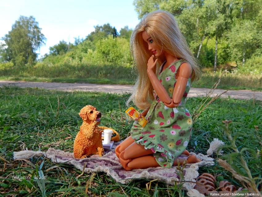 День благодарности собакам (фото 3)