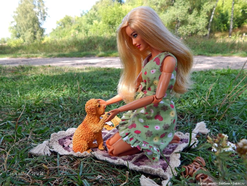 День благодарности собакам