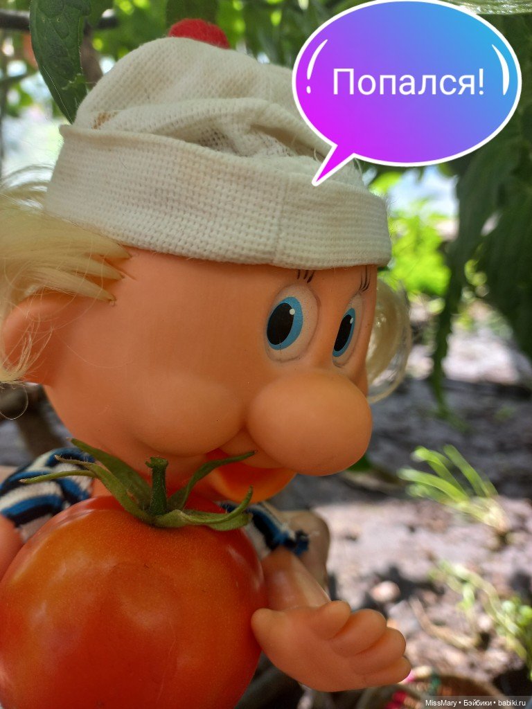 Весёлые картинки. "Помидоры". Часть 1