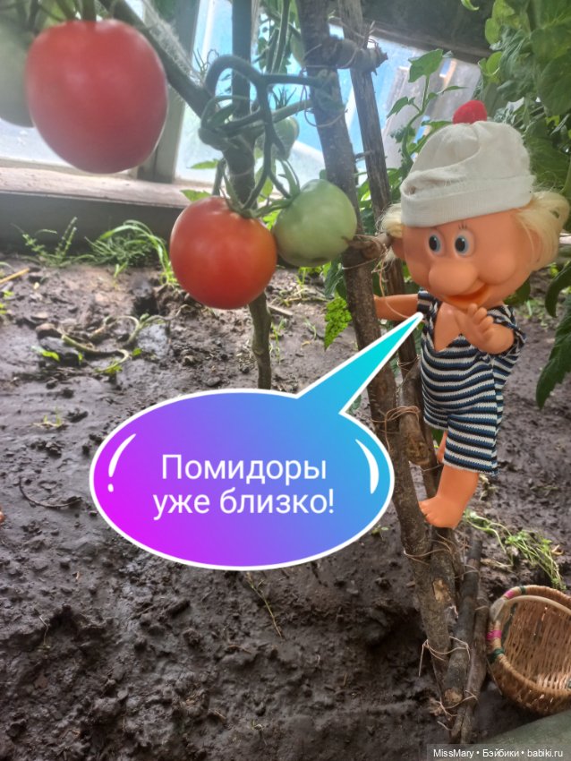 Весёлые картинки. "Помидоры". Часть 1 (фото 5)