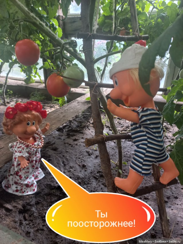 Весёлые картинки. "Помидоры". Часть 1 (фото 6)