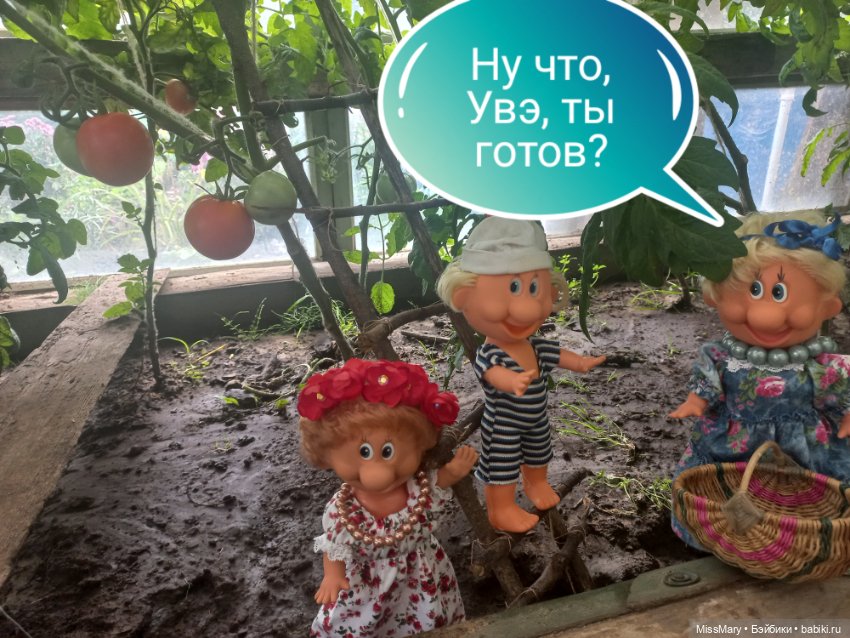 Весёлые картинки. "Помидоры". Часть 1