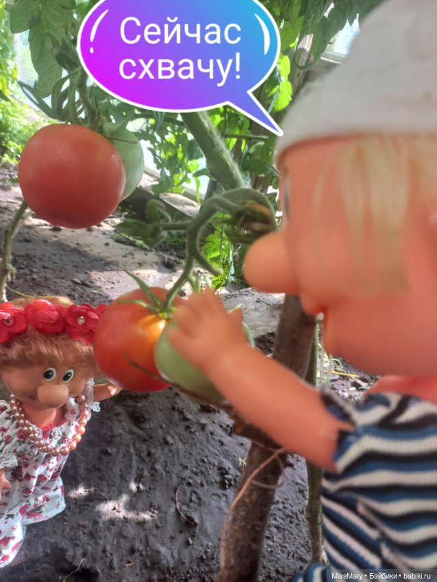 Весёлые картинки. "Помидоры". Часть 1 (фото 9)
