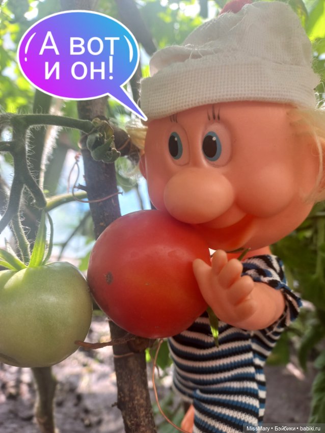 Весёлые картинки. "Помидоры". Часть 1 (фото 10)