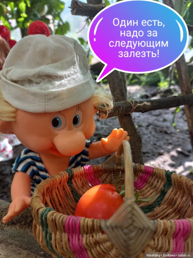 Весёлые картинки. "Помидоры". Часть 1