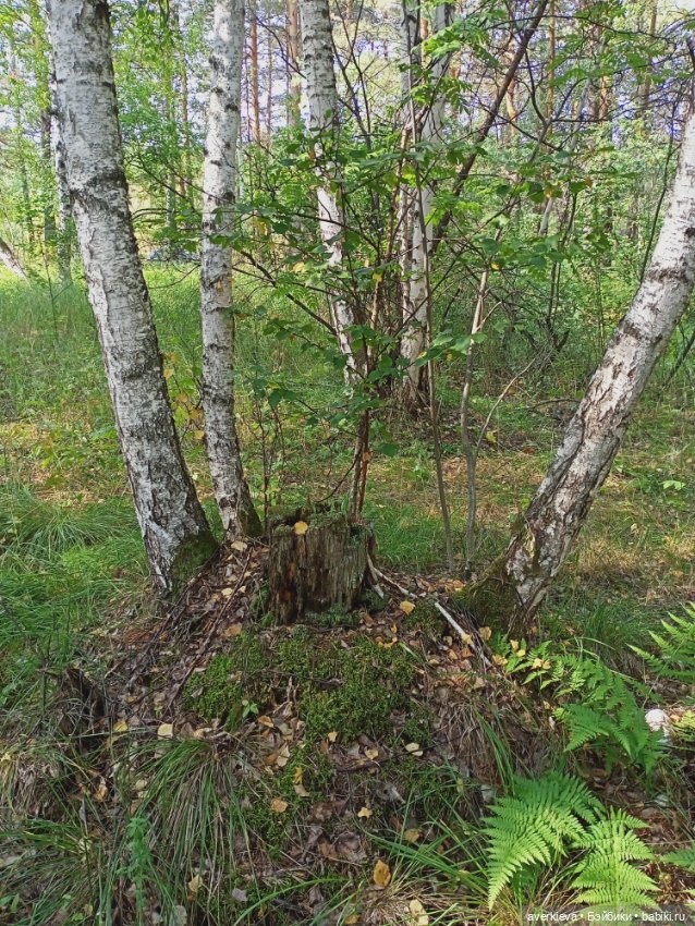 Путешествие Жорика — Коллекционные фигурки (разное): животные