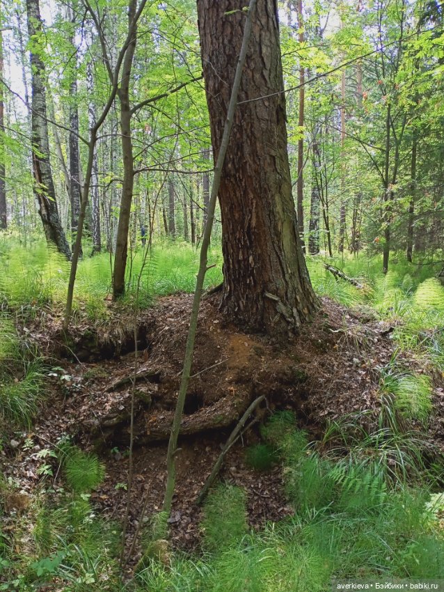 Путешествие Жорика — Коллекционные фигурки (разное): животные