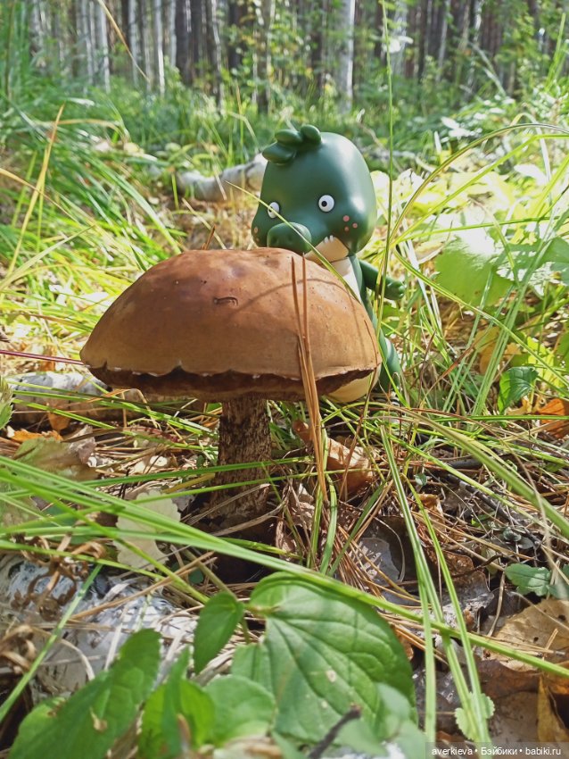 Путешествие Жорика — Коллекционные фигурки (разное): животные (фото 9)