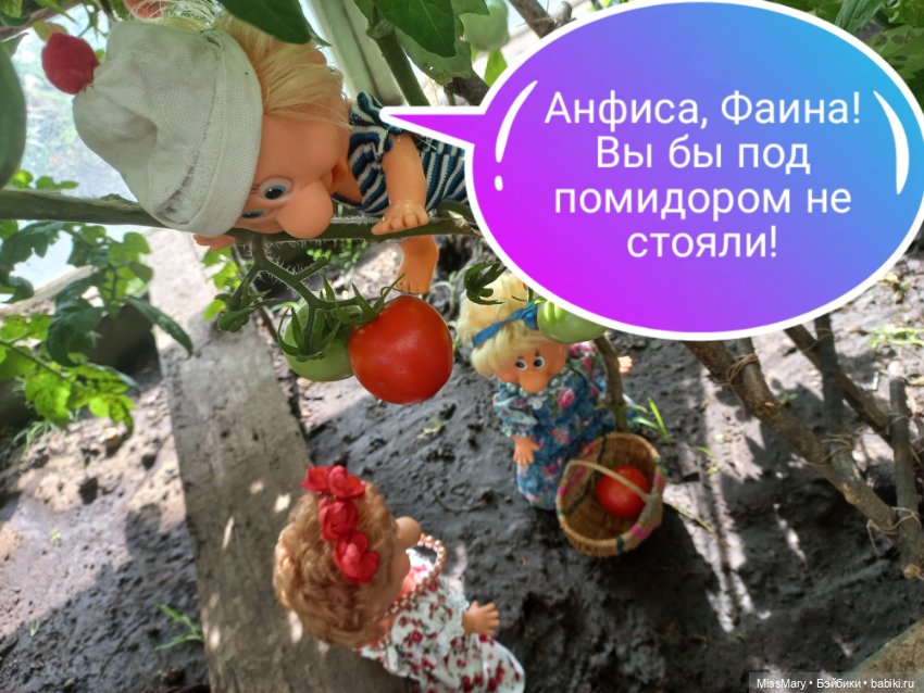 Весёлые картинки. "Помидоры". Часть 2 (фото 3)