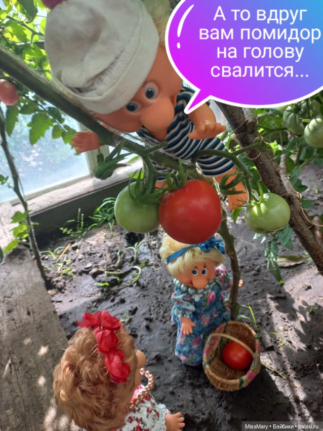 Весёлые картинки. "Помидоры". Часть 2 (фото 4)