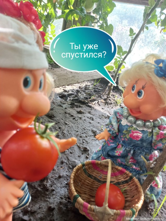 Весёлые картинки. "Помидоры". Часть 2 (фото 7)