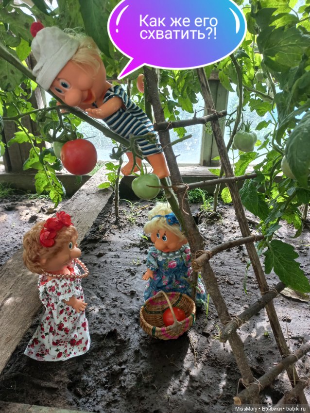 Весёлые картинки. "Помидоры". Часть 2 (фото 6)