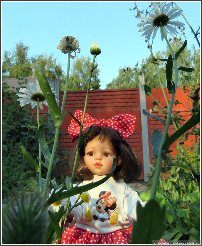 Любит- НЕ любит! НЕ любит