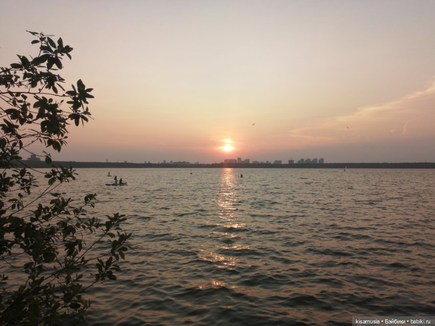 Прогулка с моими любимками