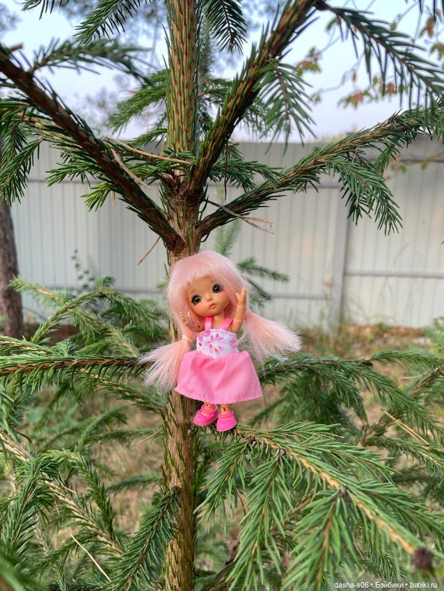 Любимая мелочь ВейВей выбралась на дачку (фото 7)