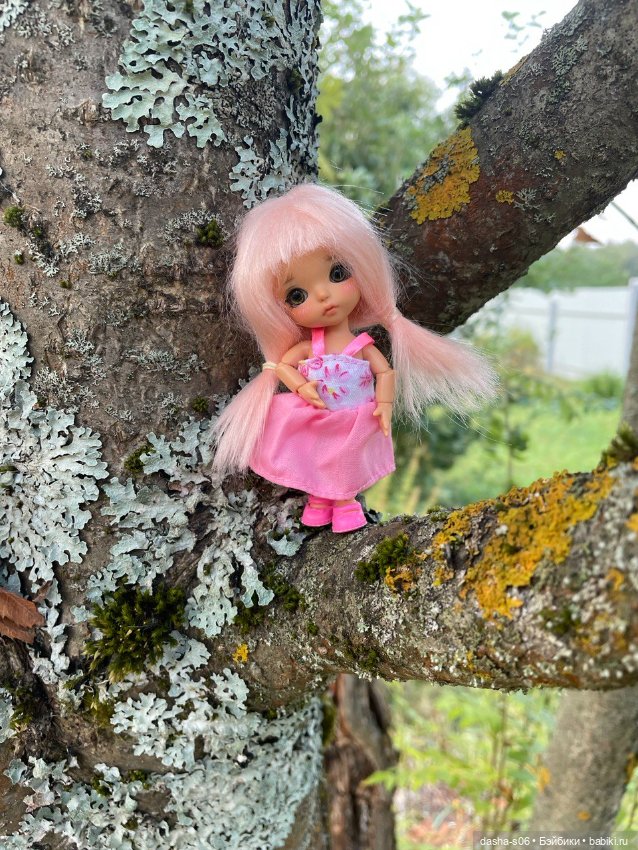 Любимая мелочь ВейВей выбралась на дачку (фото 8)