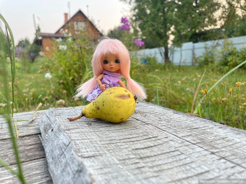 Любимая мелочь ВейВей выбралась на дачку (фото 4)