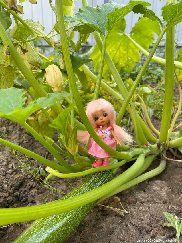 Любимая мелочь ВейВей выбралась на дачку (фото 6)