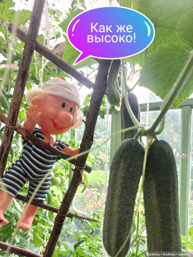 Весёлые картинки. "Огурцы-молодцы" (фото 2)